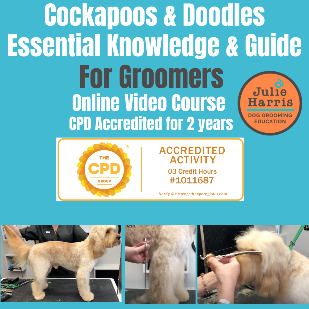 Cockapoos & Doodles Online Course - CPD Accredited
