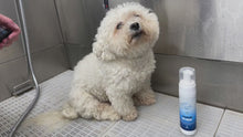 Load and play video in Gallery viewer, Julie Harris Signature FFB Dog Foaming Wash - 200ml
