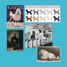 Load image into Gallery viewer, Julie Harris Education Poodle Lamb Trim Blueprint online course
