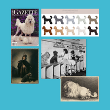 Load image into Gallery viewer, Poodle Lamb Trim Blueprint - online short course
