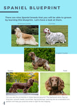 Load image into Gallery viewer, Spaniel Clipping Blueprint - Workbook
