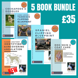 5 Workbook Bundle
