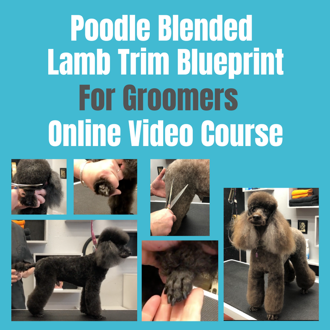 Poodle Lamb Trim Blueprint - online short course
