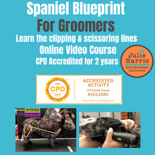 Load image into Gallery viewer, Spaniel Blueprint Short Online Course - CPD Accredited

