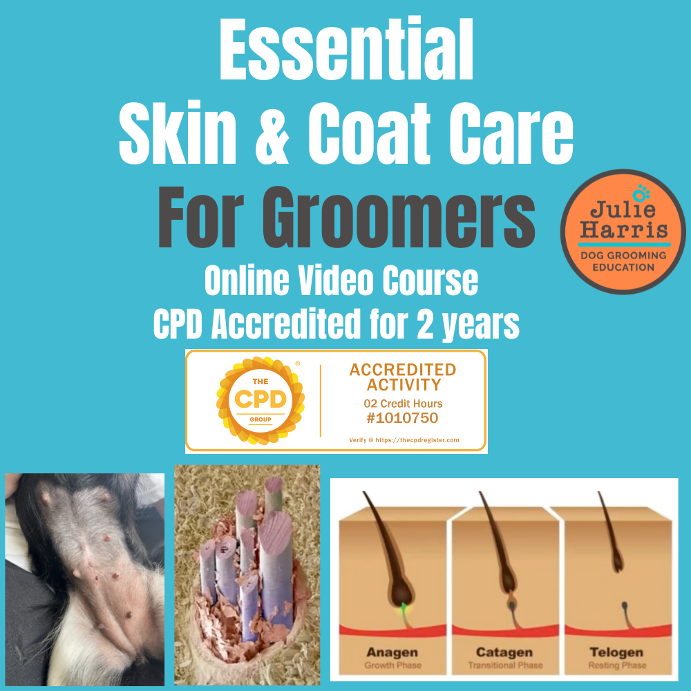 Dog Skin & Coat Care Online Course - CPD Accredited