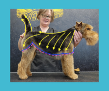 Load image into Gallery viewer, Julie Harris Education Long-Legged Terrier Blueprint Online Course
