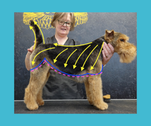 Load image into Gallery viewer, Long-Legged Terrier Blueprint Online Course - CPD Accredited
