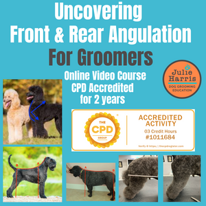 Uncovering Front & Rear Angulation Online Course - CPD Accredited